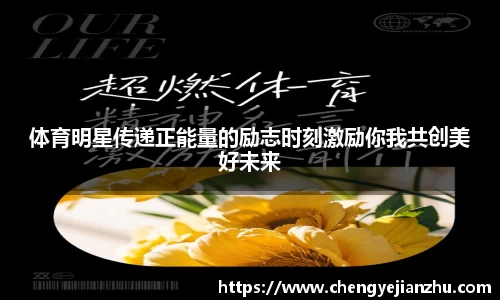乐竞体育官网
