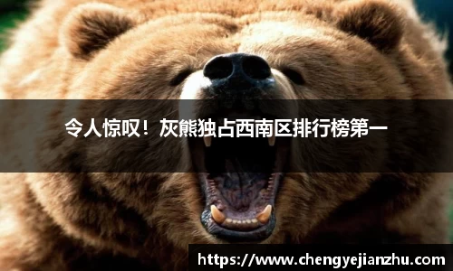 乐竞中国官方入口