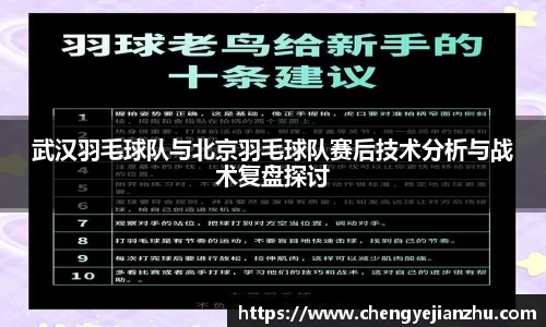 武汉羽毛球队与北京羽毛球队赛后技术分析与战术复盘探讨
